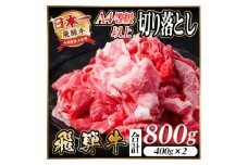 レビューキャンペーン実施中!飛騨牛　厳選切り落とし　800g　A4～A5等級　黒毛和牛　小分け【1484849】