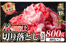 レビューキャンペーン実施中!飛騨牛　厳選切り落とし　800g　A4～A5等級　黒毛和牛　小分け【1484849】