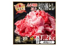 レビューキャンペーン実施中!飛騨牛　厳選切り落とし　1.2kg　A4～A5等級　黒毛和牛　小分け【1487292】