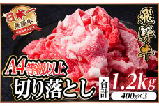 レビューキャンペーン実施中!飛騨牛　厳選切り落とし　1.2kg　A4～A5等級　黒毛和牛　小分け【1487292】