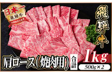 レビューキャンペーン実施中!飛騨牛　厳選肩ロース(焼肉・BBQ用)1kg　A4～A5等級　小分け【1487296】