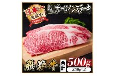 レビューキャンペーン実施中!飛騨牛　特上　サーロイン　ステーキ　500g【1487322】