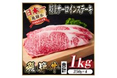 レビューキャンペーン実施中!飛騨牛　特上　サーロイン　ステーキ　1kg【1487346】