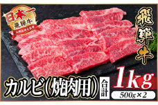 レビューキャンペーン実施中!飛騨牛　厳選カルビ(焼肉・BBQ用)1kg　A4～A5等級　小分け【1487353】