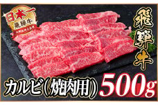 レビューキャンペーン実施中!飛騨牛　厳選カルビ(焼肉・BBQ用)500g　A4～A5等級＜冷凍便＞【1487355】