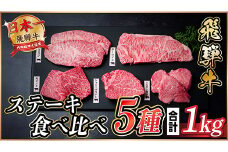 飛騨牛　ステーキ5種食べ比べセット　計1kg【1530558】