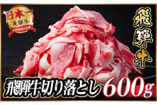 飛騨牛　切り落とし　約600g(約300g×2)＜冷蔵便＞A4～A5等級 黒毛和牛 小分け【1531512】