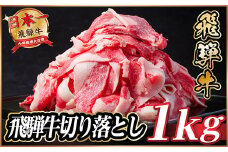 飛騨牛　切り落とし　約1kg(約500g×2パック)＜冷蔵便＞A4～A5等級 黒毛和牛 小分け【1531513】
