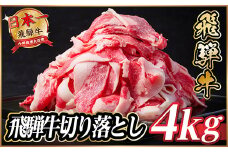 飛騨牛　切り落とし　約4kg(約500g×8)＜冷蔵便＞A4～A5等級 黒毛和牛 小分け【1531527】