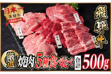 飛騨牛 焼肉厳選5種食べ比べセット(カルビ・トモサンカク・モモ・ロース・カイノミ)約500gタレ付き【1532665】