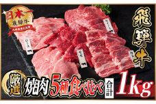 飛騨牛　焼肉厳選5種食べ比べセット(カルビ・トモサンカク・モモ・ロース・カイノミ)約1kg　タレ付き【1532671】