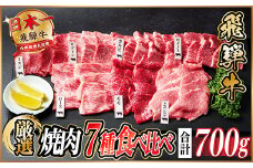 飛騨牛　焼肉7種食べ比べ(カルビ・トモサンカク・モモ・ロース・カイノミ・ミスジ・ザブトン)約700g【1532679】