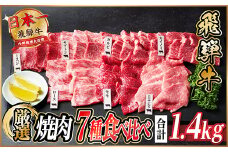 飛騨牛　焼肉厳選7種食べ比べセット　約1.4kg(味つけ用タレ・つけタレ付き)【1532682】