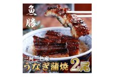 三河一色産うなぎ蒲焼　2尾〈計約320g〉【1532718】
