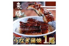 中国産うなぎ蒲焼　1尾〈約160g〉【1532722】