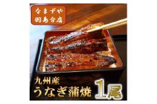 九州産うなぎ蒲焼　1尾〈約120g〉【1533661】
