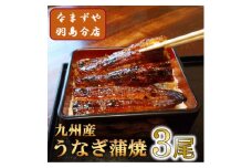 九州産うなぎ蒲焼　3尾〈計約360g〉【1533663】
