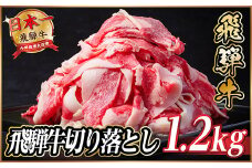 飛騨牛　切り落とし　約1.2kg(約400g×3)＜冷蔵便＞A4～A5等級 黒毛和牛 小分け【1534704】