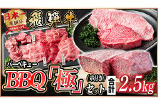 飛騨牛　BBQ「極」セット(串付き)約2.5kg(味つけ用タレ・つけタレ・ローストビーフソース付き)【1534612】