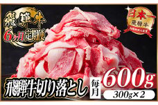 ＜毎月定期便＞飛騨牛　切り落とし　約600g＜冷蔵便＞全6回【4055015】