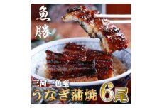 三河一色産うなぎ蒲焼　6尾〈計約960g〉【1532721】