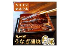 九州産うなぎ蒲焼　6尾〈計約720g〉【1533665】