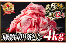＜毎月定期便＞飛騨牛　切り落とし　約4kg＜冷蔵便＞全12回【4055096】