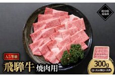 A5等級飛騨牛:焼肉用300g　ロース又は肩ロース肉【1539472】