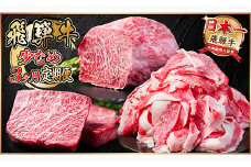 ＜毎月定期便＞飛騨牛 少なめ定期便 計1kg＜冷蔵便＞全3回【4055497】