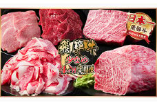 ＜毎月定期便＞飛騨牛 少なめ定期便 計1.3kg＜冷蔵便＞全4回【4055499】