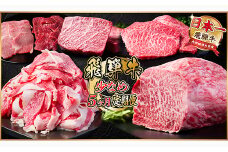 ＜毎月定期便＞飛騨牛 少なめ定期便 計1.8kg＜冷蔵便＞全5回【4055500】