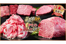 ＜毎月定期便＞飛騨牛 少なめ定期便 計2.5kg＜冷蔵便＞全6回【4055503】