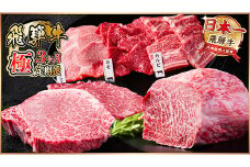 ＜毎月定期便＞飛騨牛 極定期便 計1.7kg＜冷蔵便＞A4～A5等級 シャトーブリアンほか 全3回【4055508】