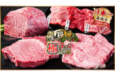 ＜毎月定期便＞飛騨牛 極定期便 計2.2kg＜冷蔵便＞A4～A5等級 シャトーブリアンほか 全4回【4055509】
