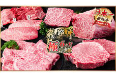 ＜毎月定期便＞飛騨牛 極定期便 計3.4kg＜冷蔵便＞A4～A5等級 シャトーブリアンほか 全6回【4055510】
