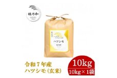 ＜先行予約＞令和7年産　岐阜県産ハツシモ(玄米)10kg【1540786】