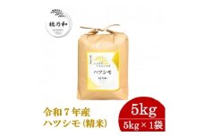 ＜先行予約＞令和7年産　岐阜県産ハツシモ(精米)5kg【1540832】