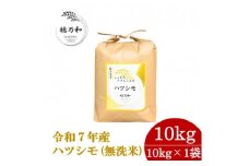 ＜先行予約＞令和7年産　岐阜県産ハツシモ(無洗米)10kg【1540853】