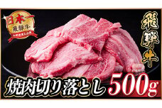 飛騨牛 焼肉切り落とし 約500g タレ付き 訳あり＜冷蔵便＞A4～A5等級 黒毛和牛【1543368】