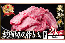 飛騨牛 焼肉切り落とし 約2kg(約500g×4)タレ付き 訳あり＜冷蔵便＞A4～A5等級 黒毛和牛【1543367】