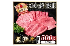 レビューキャンペーン実施中!飛騨牛　厳選カルビ・赤身(焼肉・BBQ用)500g　A4～A5＜冷凍便＞【1543761】