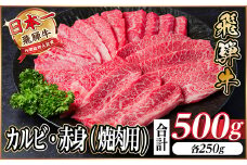 レビューキャンペーン実施中!飛騨牛 カルビ・赤身(焼肉・BBQセット)500g 小分け【1543761】