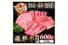 レビューキャンペーン実施中!飛騨牛　厳選カルビ・赤身(焼肉・BBQ用)600g　A4～A5　小分け【1543762】