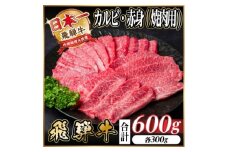 レビューキャンペーン実施中!飛騨牛　厳選カルビ・赤身(焼肉・BBQ用)600g　A4～A5　小分け【1543762】