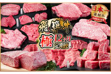 ＜毎月定期便＞飛騨牛 極定期便 計12.9kg＜冷蔵便＞A4～A5等級 シャトーブリアンほか全12回_定期便 肉 飛騨牛 ブランド牛 ステーキ 焼肉 しゃぶしゃぶ ローストビーフ 冷蔵 人気 おすすめ 送料無料 贈答 ギフト【4055987】