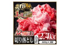 レビューキャンペーン実施中!＜毎月定期便＞飛騨牛 厳選切り落とし 計2.4kg全3回　小分け【4055980】