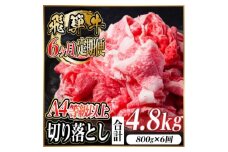 レビューキャンペーン実施中!＜毎月定期便＞飛騨牛 厳選切り落とし 計4.8kg全6回　小分け【4055981】