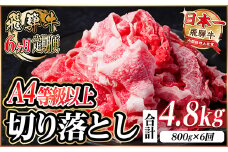 レビューキャンペーン実施中!＜毎月定期便＞飛騨牛 厳選切り落とし 計4.8kg全6回　小分け【4055981】