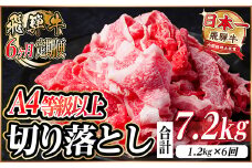 レビューキャンペーン実施中!＜毎月定期便＞飛騨牛 厳選切り落とし 計7.2kg全6回　小分け【4055983】