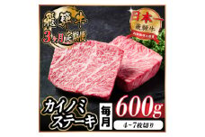 ＜毎月定期便＞飛騨牛 カイノミステーキ定期便 毎月600g＜冷蔵便＞A4～A5 厳選希少部位 全3回【4055996】